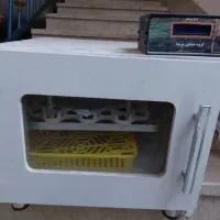 دستگاه جوجه کشی مریدا