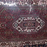پشتی ریز ماهی