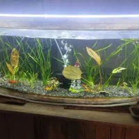 اکواریوم کامل