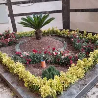 خدمات باغبانی باغچه کاری کاشت گل و گیاه خاک گلدون
