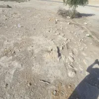 زمین بر اتوبان کازرون به کوهچنار