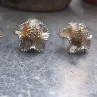 چهار گوشواره، یک نیم ست، یک مدال پزوانه، یک ست