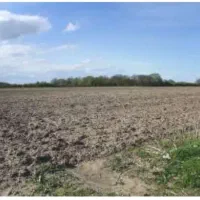 فروش زمین مناسب جهت احداث گلخانه