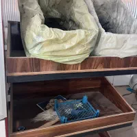 وسایل کامل میوه فروشی|فروشگاه و مغازه|زرند, |دیوار