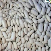 ارزان سرای ،پخش حبوبات|خوردنی و آشامیدنی|تهران, حسن‌آباد|دیوار