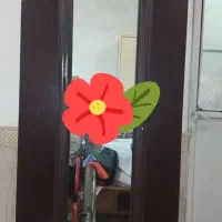 جاکفشی و چوب لباسی
