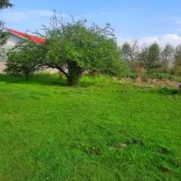 244-مترزمین-مسکونی-جنگلی-کوهپایه-طبیعت-آماده-ساخت