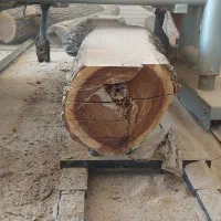 خرید فروش اسلب و چوب|عمدهفروشی|بردسیر, |دیوار