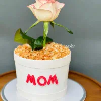 کیک روز مادر اماده|خوردنی و آشامیدنی|نیشابور, پاستور|دیوار