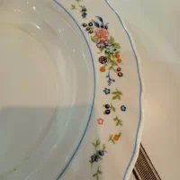 ظرف پذیرایی و سرو