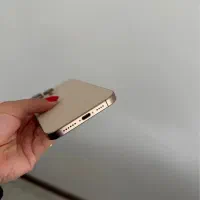 16پرومکس  Zaa 256g دیزرت|موبایل|ارومیه, |دیوار