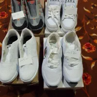 کتانی یاکفش اسپرت