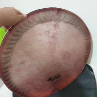 دف مارک دوده