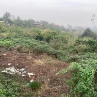 153-متر-زمین-با-پروانه-ساخت-و-سندتک-برگ-دیزبن