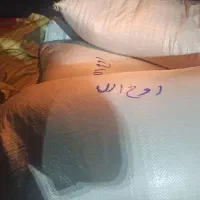 برنج دم سیاه