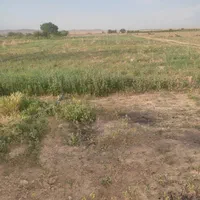 مشارکت در ساخت