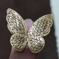 طلای نو پروانه