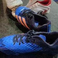 کفش استوک|کیف، کفش، کمربند|دورود, |دیوار