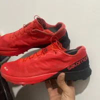 سالامون لاب اورجینال