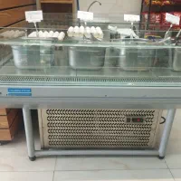 یخچال خوابیده مدل گنو برند انجماد سیستم