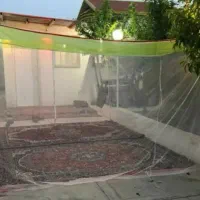 پشه بند خانواده گی
