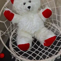 عروسک خرس ولنتاین|اسباب‌‌بازی|مشهد, موعود|دیوار