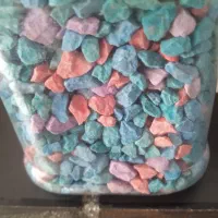 گل تنه درختی|گل و گیاه طبیعی|بروجرد, |دیوار