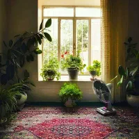 مسکونی-کاووسی