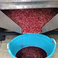 آب انار گیری