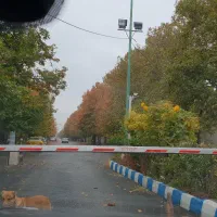 فروش زمین ۸۸۰ متری داخل شهرک با اصالت جهان ویلا|فروش زمین و ملک کلنگی|هشتگرد, شهرک جهان ویلا (درخشانیه)|دیوار