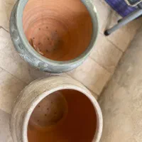 گلدان سفالی (کوزه ای/خمره ای)|گل و گیاه طبیعی|تهران, قبا|دیوار