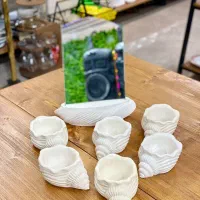 هفت سین|کلکسیون اشیاء عتیقه|گرگان, |دیوار