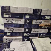 شنیسل سینه استیکی منجمد