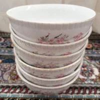 6 عدد کاسه چینی طرح گل عروس