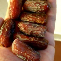 خرمای پیارم درجه ۱ گوشتی و بسیار با کیفیت|خوردنی و آشامیدنی|شیراز, باغ تخت|دیوار