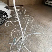 جاگلدانی  اهنی