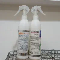 چهار عدد عروس هلندی|پرنده|تهران, شهرک آسمان|دیوار