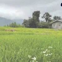 استخدام فروشنده در فرش فروشی(محدوده شعبانیه،رجائی)