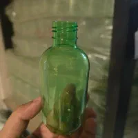 بطری سبز کمرنگ پت