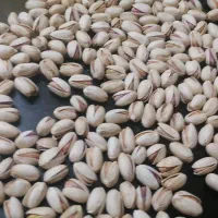 پسته احمداقایی ارسال کرمان (رایگان)