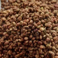 سماق دون شده