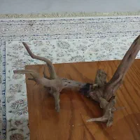 چوب ابنوس آکواریوم