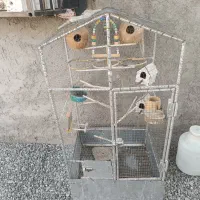 تعدادی مرغ با قفس|حیوانات مزرعه|دامن, |دیوار