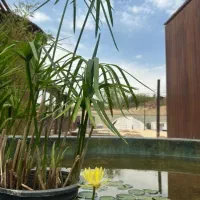 اجاره-مغازه