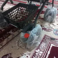 کالسکه نو|کالسکه و لوازم جانبی|لشت نشا, |دیوار