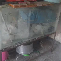 شیشه آکواریوم