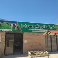 کاه گندم و نان خشک