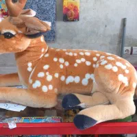 عروسک پولیشی