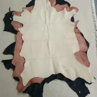 پوست ، چرم شترمرغ ،چرم طبیعی