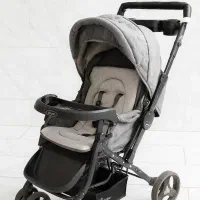 کالسکه دلیجان|کالسکه و لوازم جانبی|تهران, کوی بیمه|دیوار